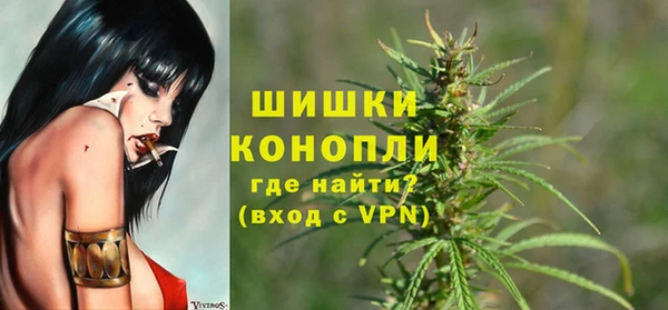 прущие грибы Белокуриха