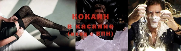 прущие грибы Белокуриха