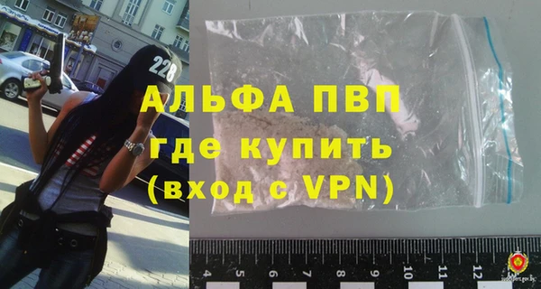 прущие грибы Белокуриха