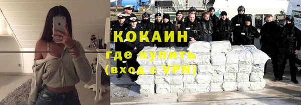 прущие грибы Белокуриха