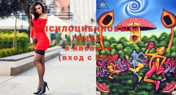 прущие грибы Белокуриха