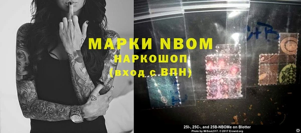 прущие грибы Белокуриха