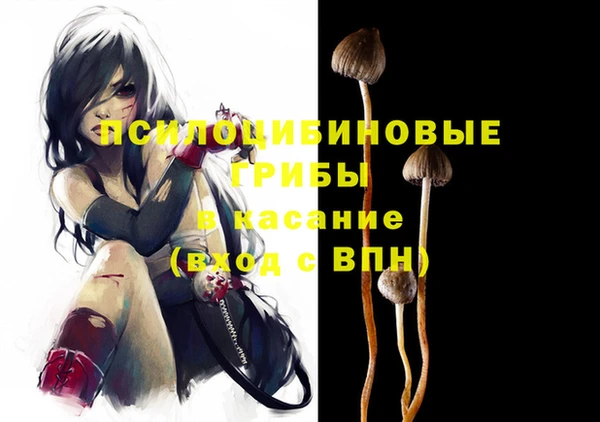 прущие грибы Белокуриха