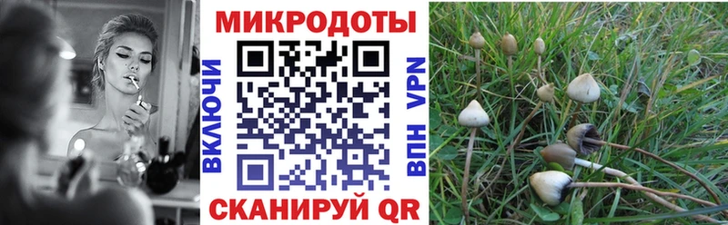 kraken как зайти  Жигулёвск  Галлюциногенные грибы Magic Shrooms  купить  